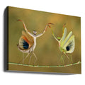 Show Time by Hasan Baglar | Dancing Mantis Performance, Large Canvas Wall Art Print | Artsy Earth