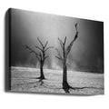 Afterlife by Fegari | Dead Desert Landscape, Large Canvas Wall Art Print | Artsy Earth