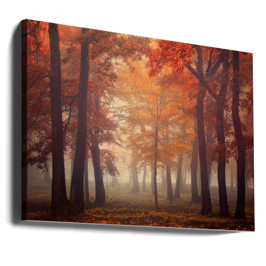 Misty Forest Path by Ildiko Neer | Autumn Forest Landscape, Large Canvas Wall Art Print | Artsy Earth