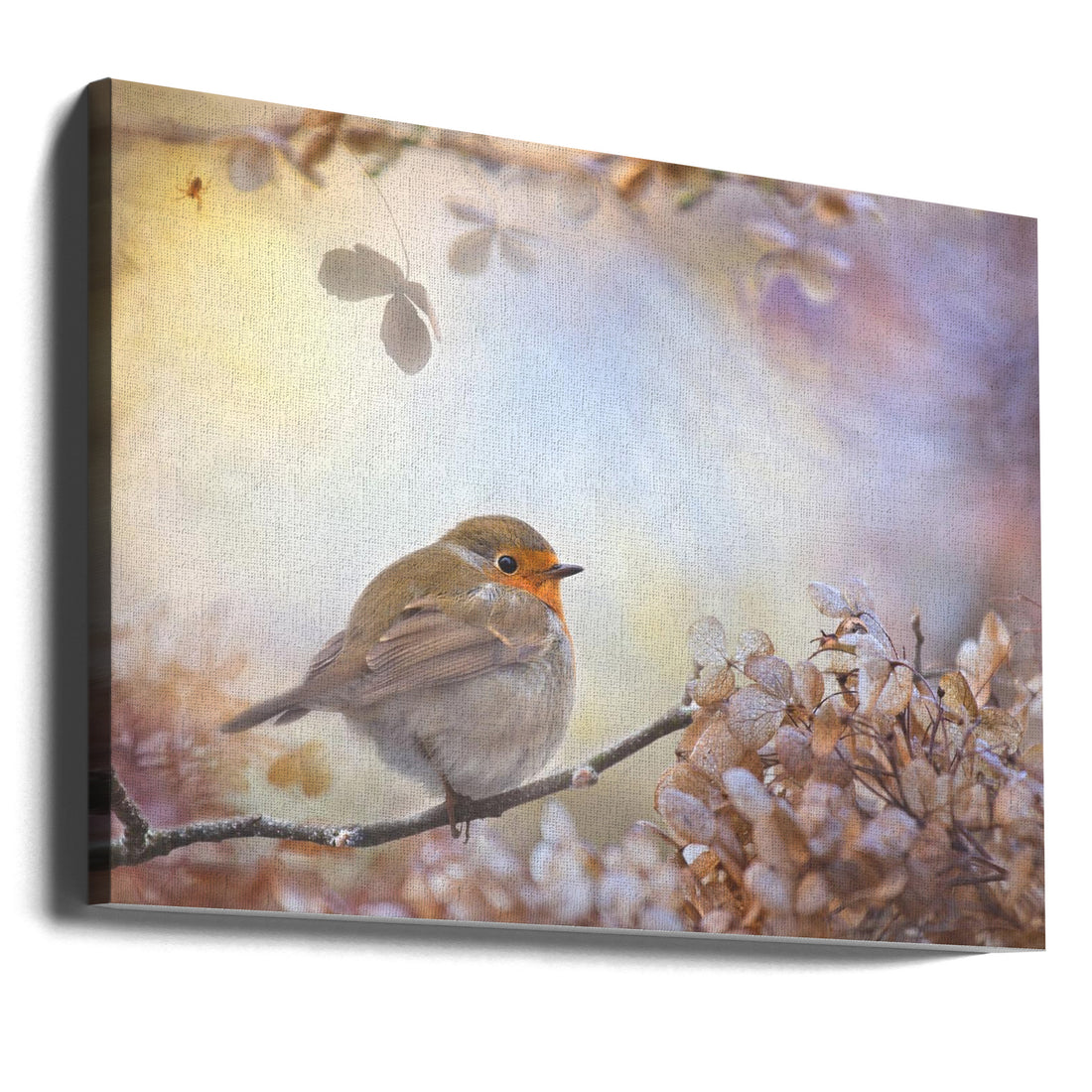 Robin on Dreams by Teuni | Dreamy Winter Bird, Large Canvas Wall Art Print | Artsy Earth