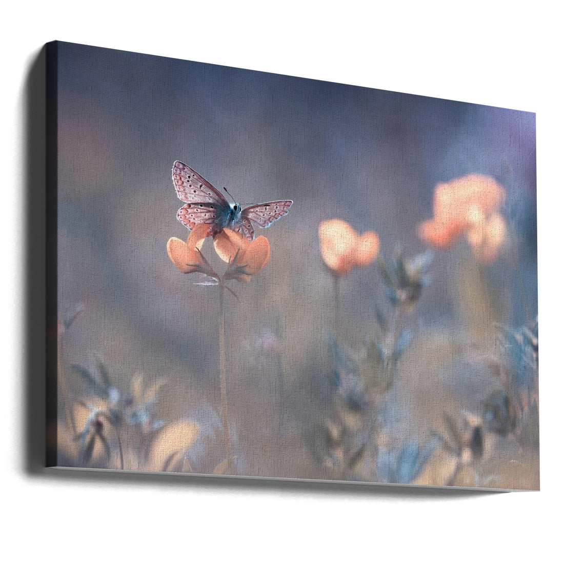 The Lady of Lothlorien by Fabien Bravin | Dreamy Floral Butterfly, Large Canvas Wall Art Print | Artsy Earth