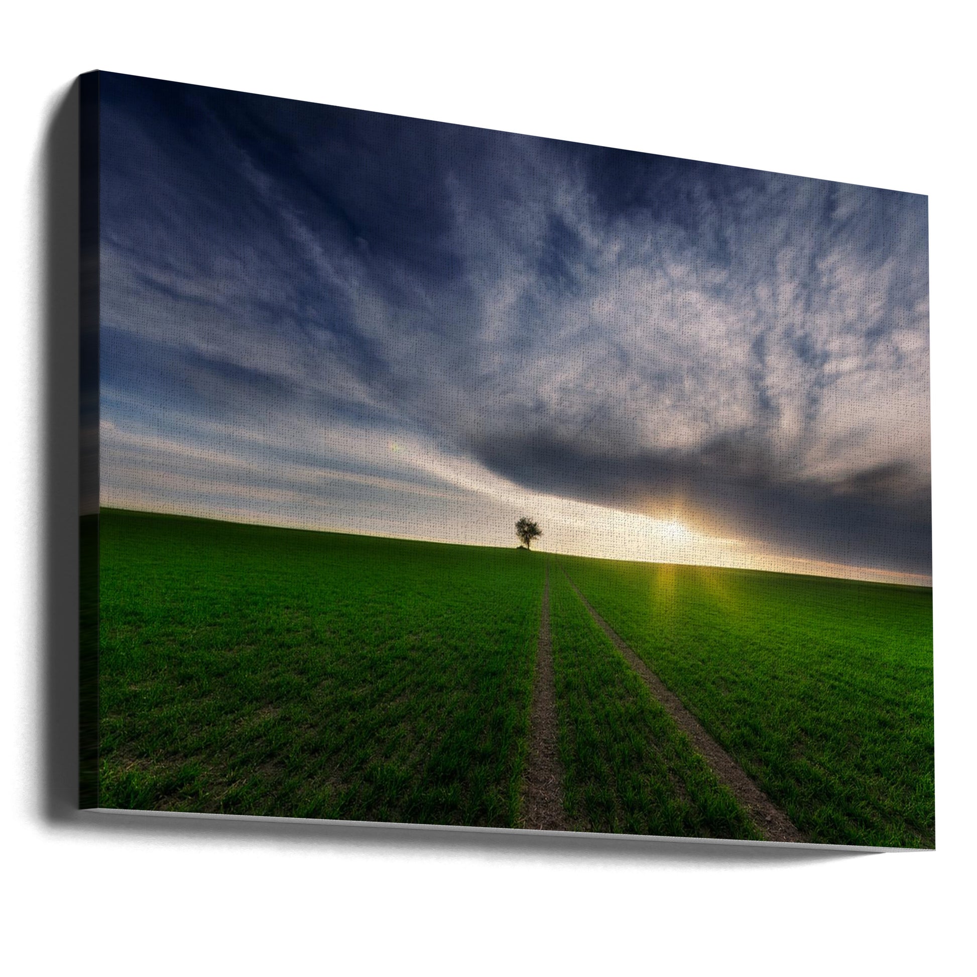 loner in the sun by Piotr Krol (bax) | Lonely Rural Landscape, Large Canvas Wall Art Print | Artsy Earth