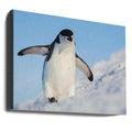 Running up that Hill by Hillebrand Breuker | Antarctic Penguin Wildlife, Large Canvas Wall Art Print | Artsy Earth