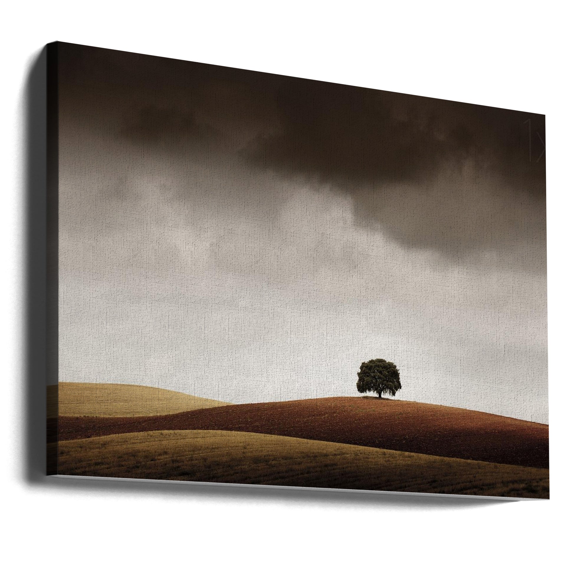 Lonely Hill View by Alberto Merchán | Rural Landscape Solitude, Large Canvas Wall Art Print | Artsy Earth