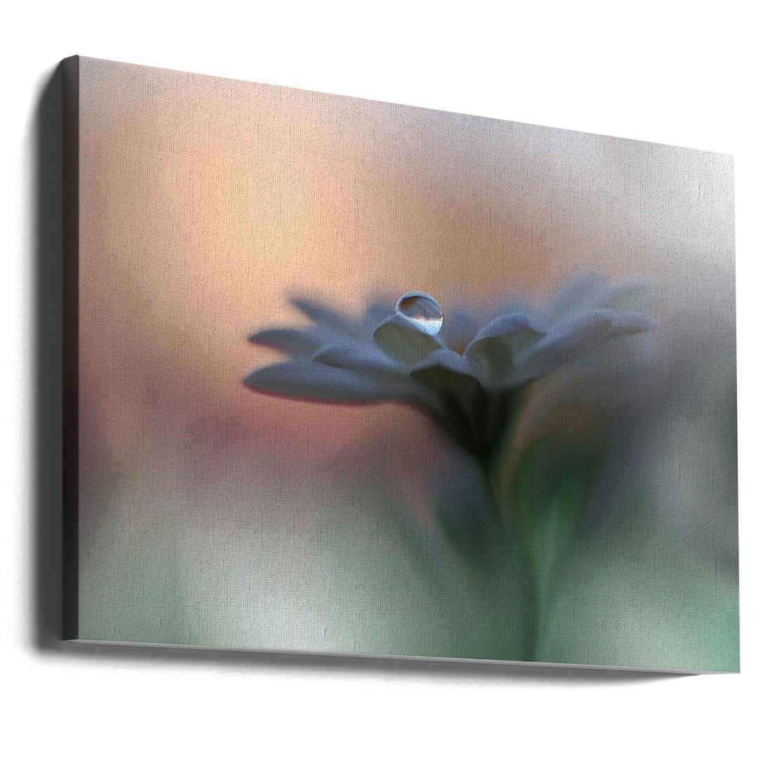 Eyes of the Light by Juliana Nan | Dreamy Floral Macro, Large Canvas Wall Art Print | Artsy Earth