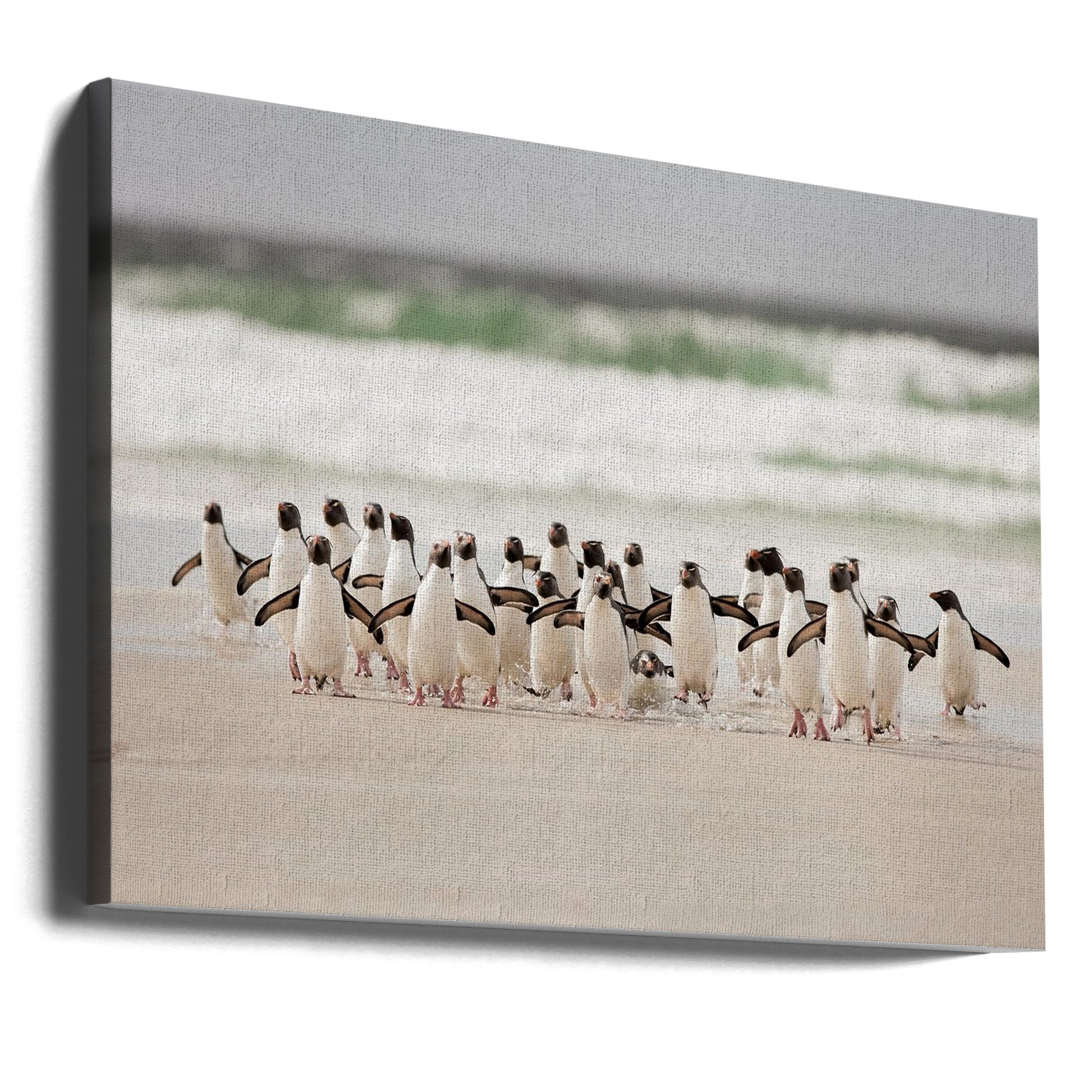 Penguin Beach Run by Joan Gil Raga | Coastal Wildlife Nature, Large Canvas Wall Art Print | Artsy Earth