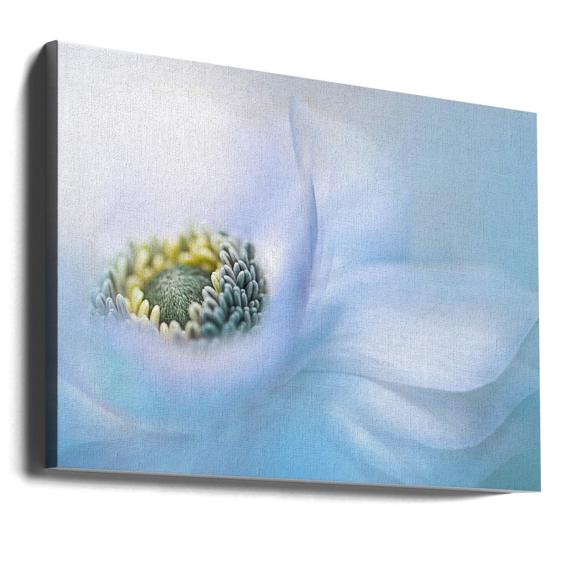 Flow by Jacky Parker | Soft Floral Macro, Large Canvas Wall Art Print | Artsy Earth