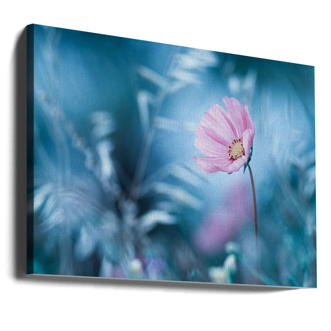 A Walk in Dreamland by Fabien Bravin | Romantic Garden Flowers, Large Canvas Wall Art Print | Artsy Earth