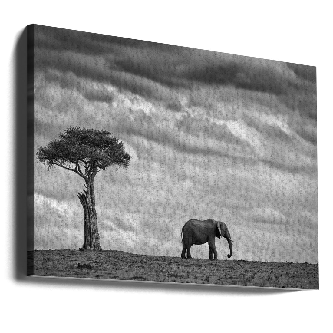 Elephant Landscape by Mario Moreno | African Wildlife Solitude, Large Canvas Wall Art Print | Artsy Earth