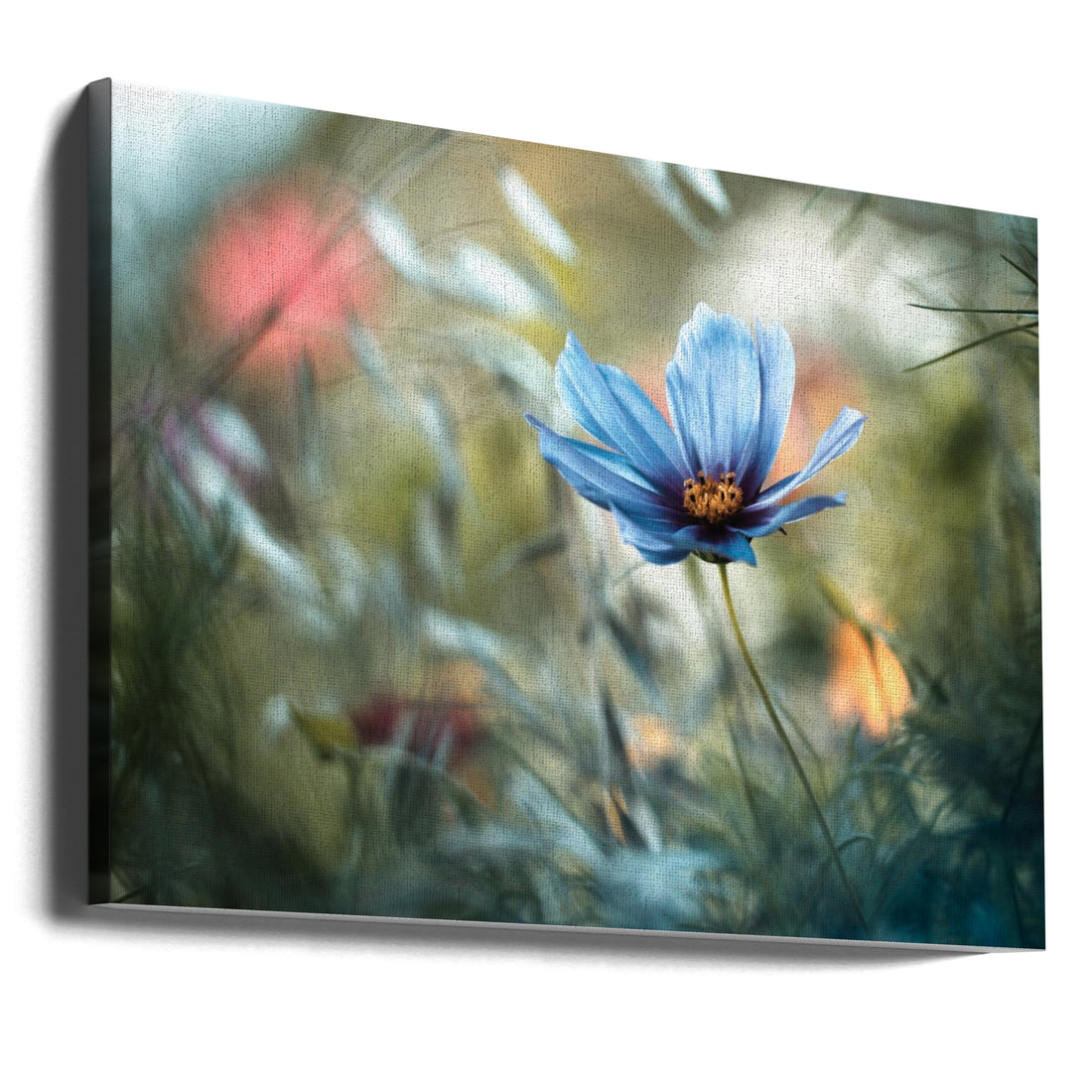 Floral Meadow Art by Fabien Bravin | Botanical Garden Closeup, Large Canvas Wall Art Print | Artsy Earth