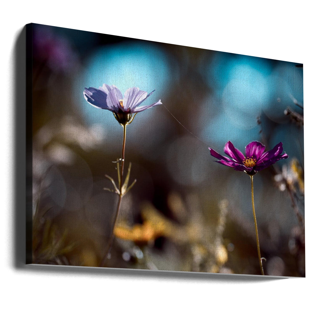 Floral Connection by Fabien Bravin | Romantic Backlit Flowers, Large Canvas Wall Art Print | Artsy Earth