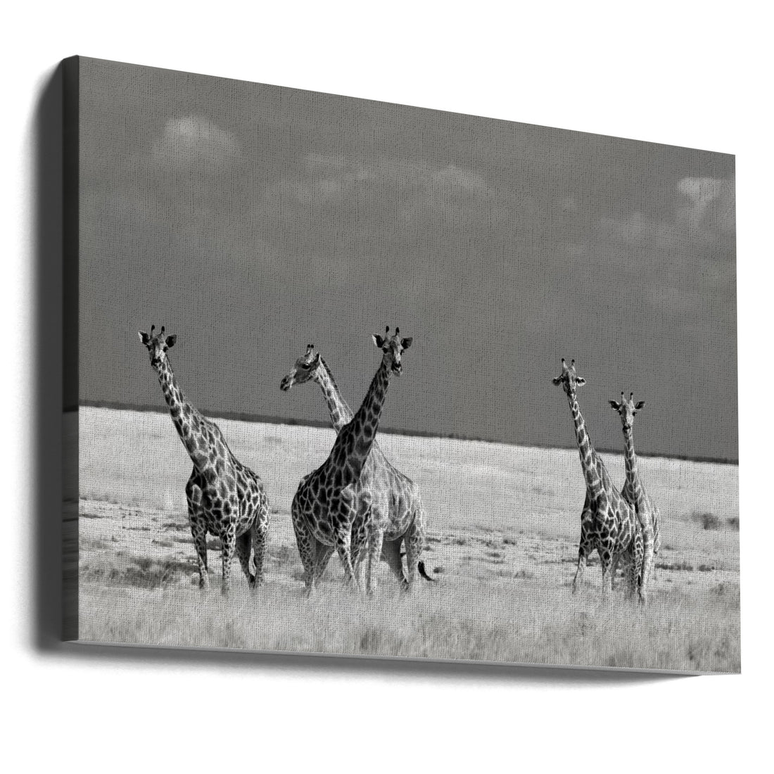 Strange Animals by Mathilde Guillemot | African Wildlife Nature, Large Canvas Wall Art Print | Artsy Earth