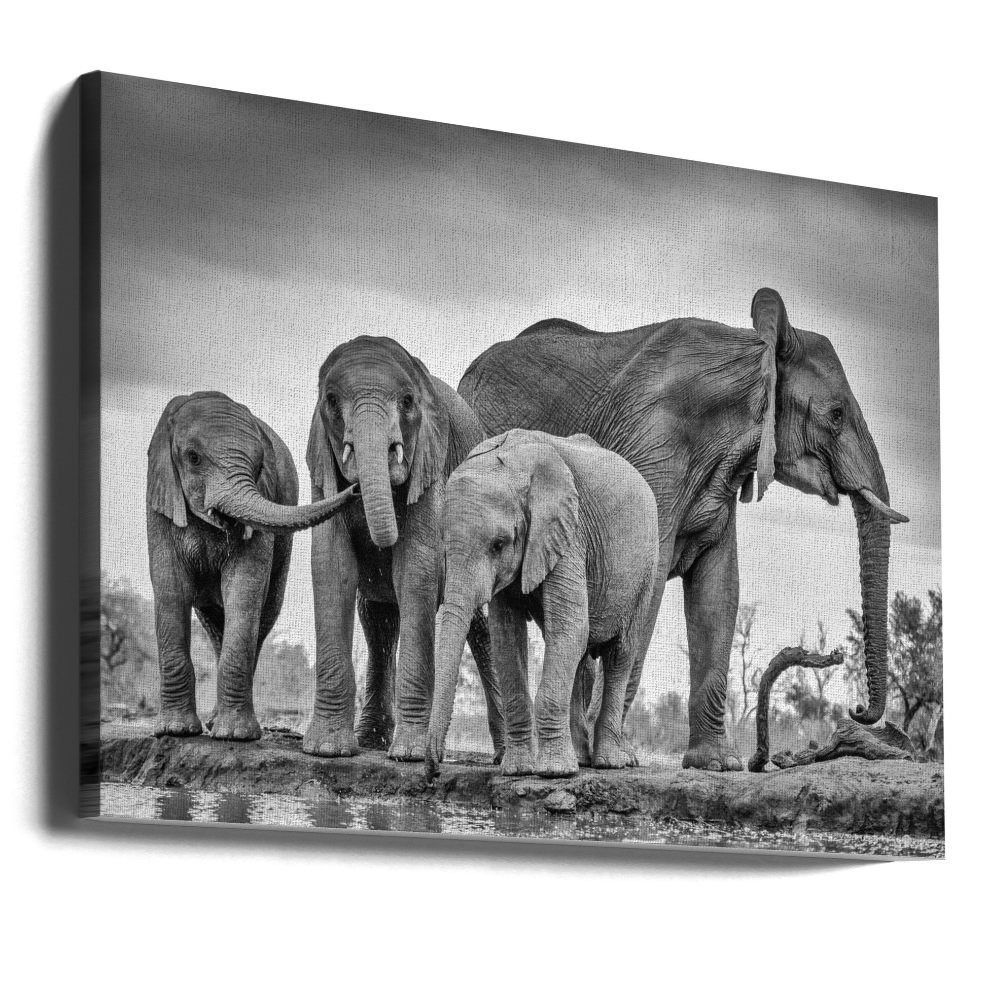 A Giant Unity by Jaco Marx | Wildlife Family Protection, Large Canvas Wall Art Print | Artsy Earth