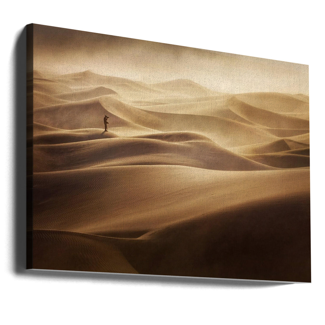 Alone in Desert by Mirko Vecernik | Sand Dune Photography, Large Canvas Wall Art Print | Artsy Earth