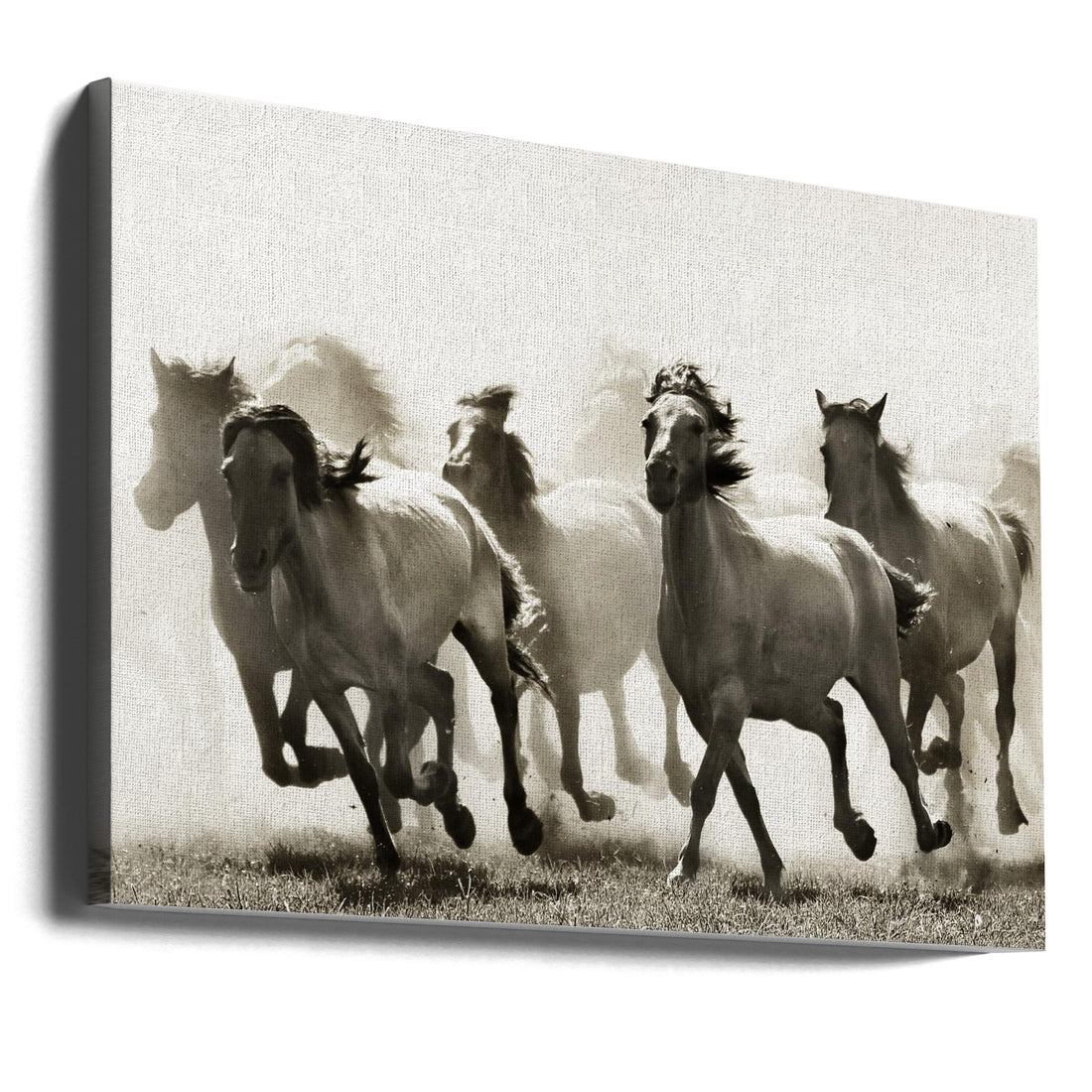 Wild Horse Herd by Heidi Bartsch | Dramatic Running Horses, Large Canvas Wall Art Print | Artsy Earth