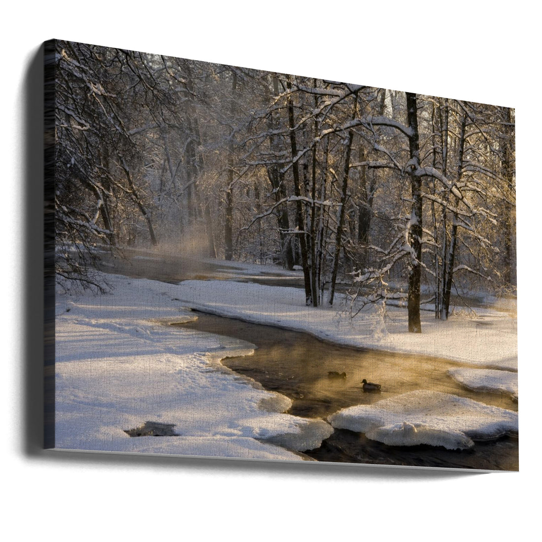 The First Light by Robin Eriksson | Winter Sunrise Landscape, Large Canvas Wall Art Print | Artsy Earth