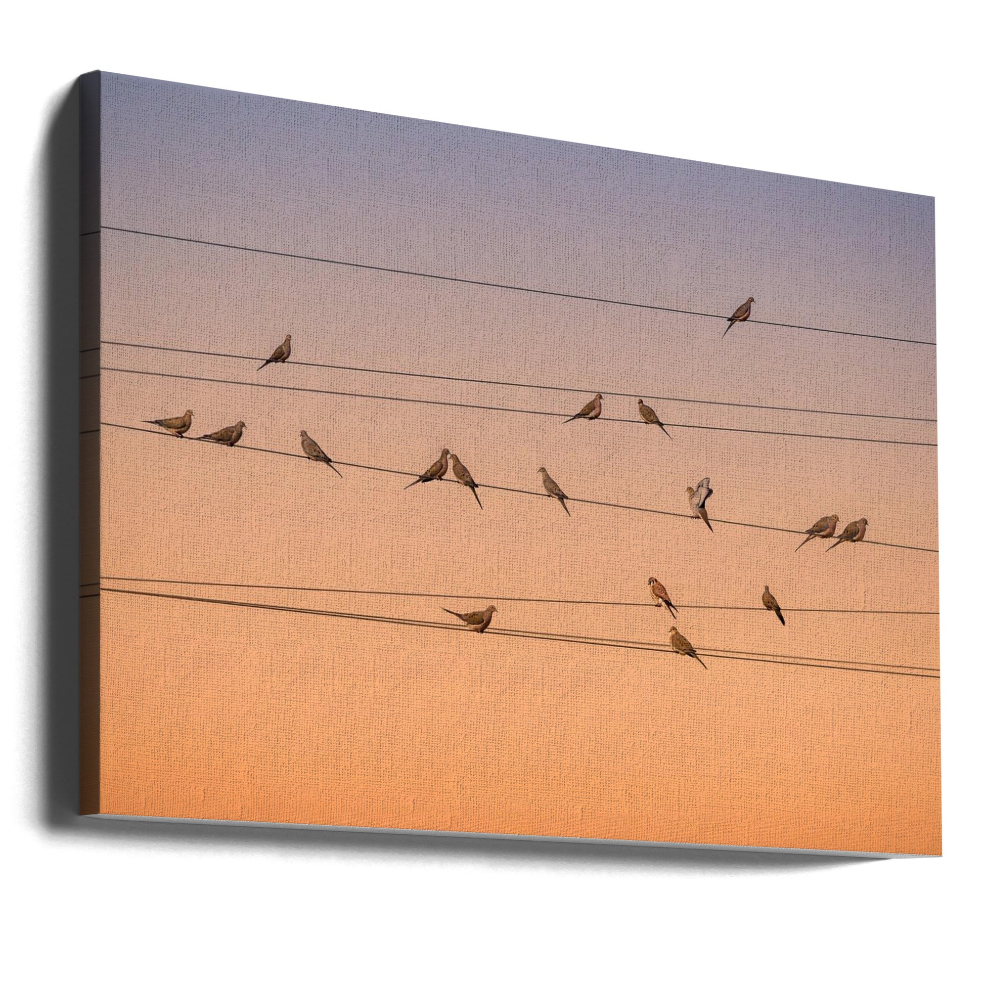 Music of Light by John Fan | Dawn Wildlife Notes, Large Canvas Wall Art Print | Artsy Earth