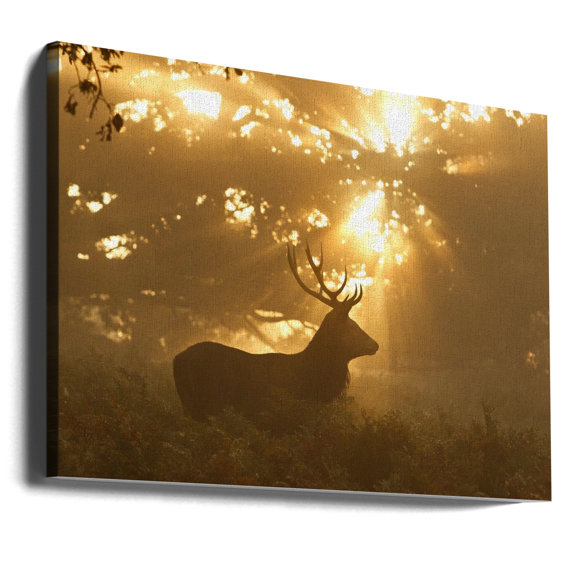 Ghost of the Forest by Greg Morgan | Misty Wildlife Silhouette, Large Canvas Wall Art Print | Artsy Earth