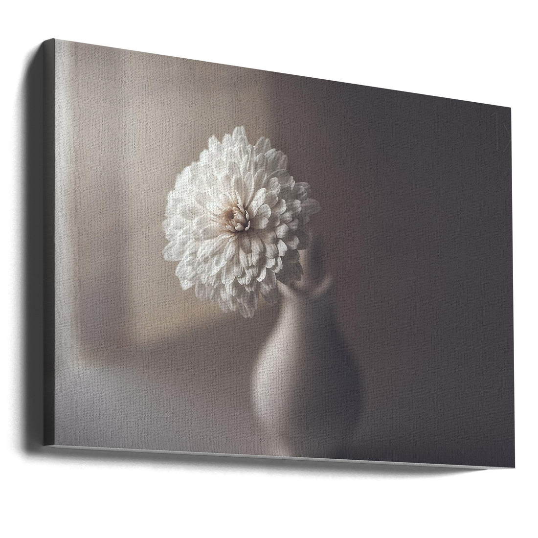 Window Light by José Antonio Sánchez | High Key Floral, Large Canvas Wall Art Print | Artsy Earth