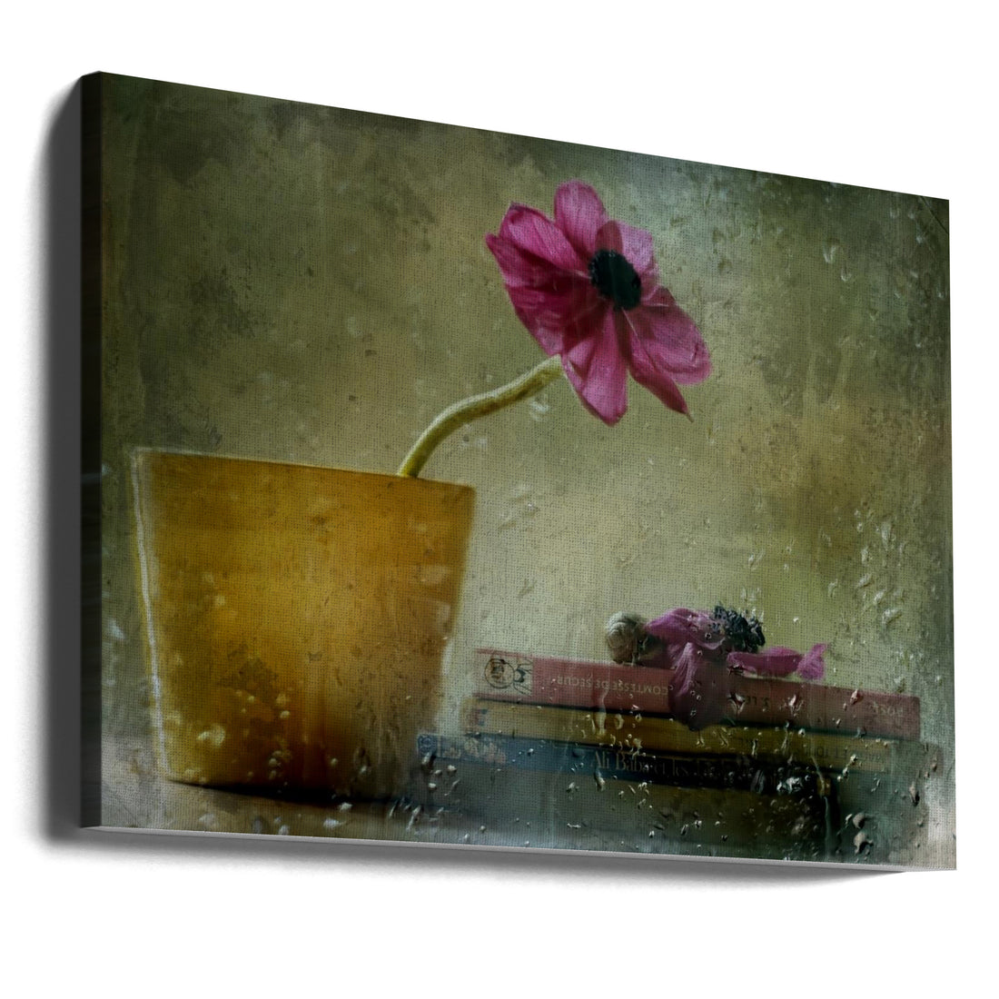 A day to stay at home by Delphine Devos | Rainy Window Plants, Large Canvas Wall Art Print | Artsy Earth