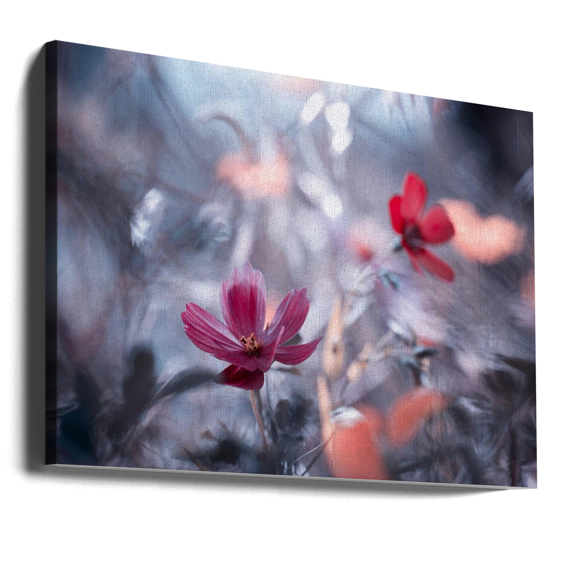 Romantic Flower Story by Fabien Bravin | Floral Romance Macro, Large Canvas Wall Art Print | Artsy Earth