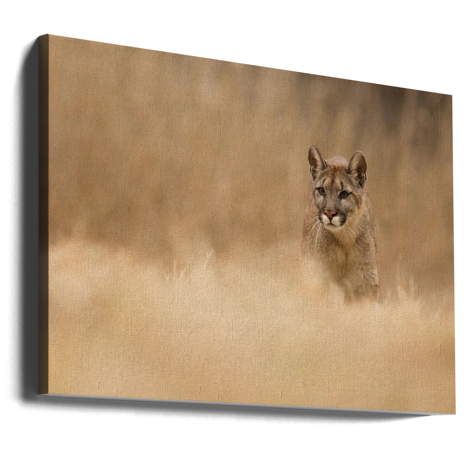 Mountain Lion Portrait by Milan Zygmunt | Wild Cougar Nature, Large Canvas Wall Art Print | Artsy Earth