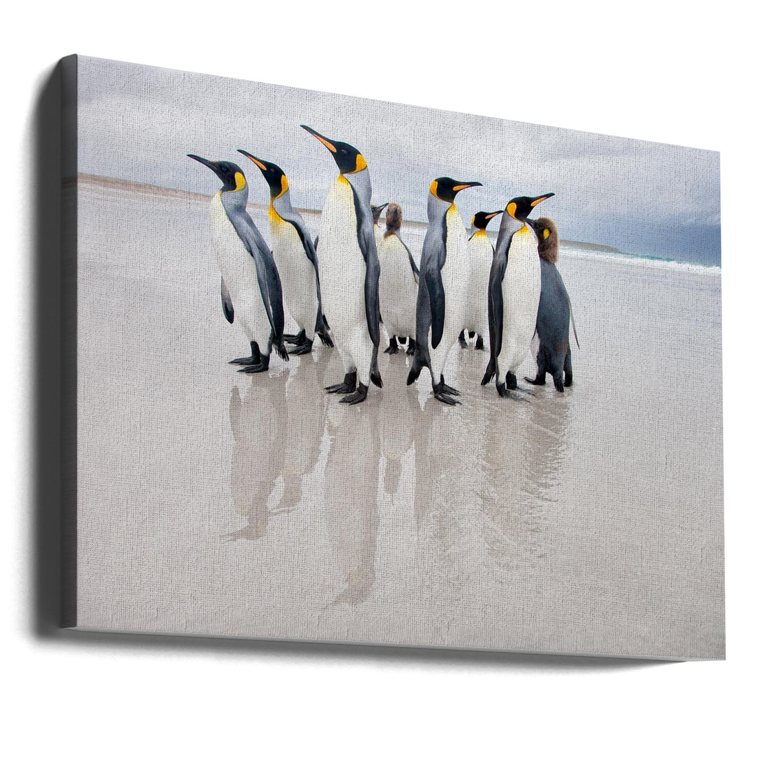 Penguin Guardian by Joan Gil Raga | Wildlife Protection Beach, Large Canvas Wall Art Print | Artsy Earth