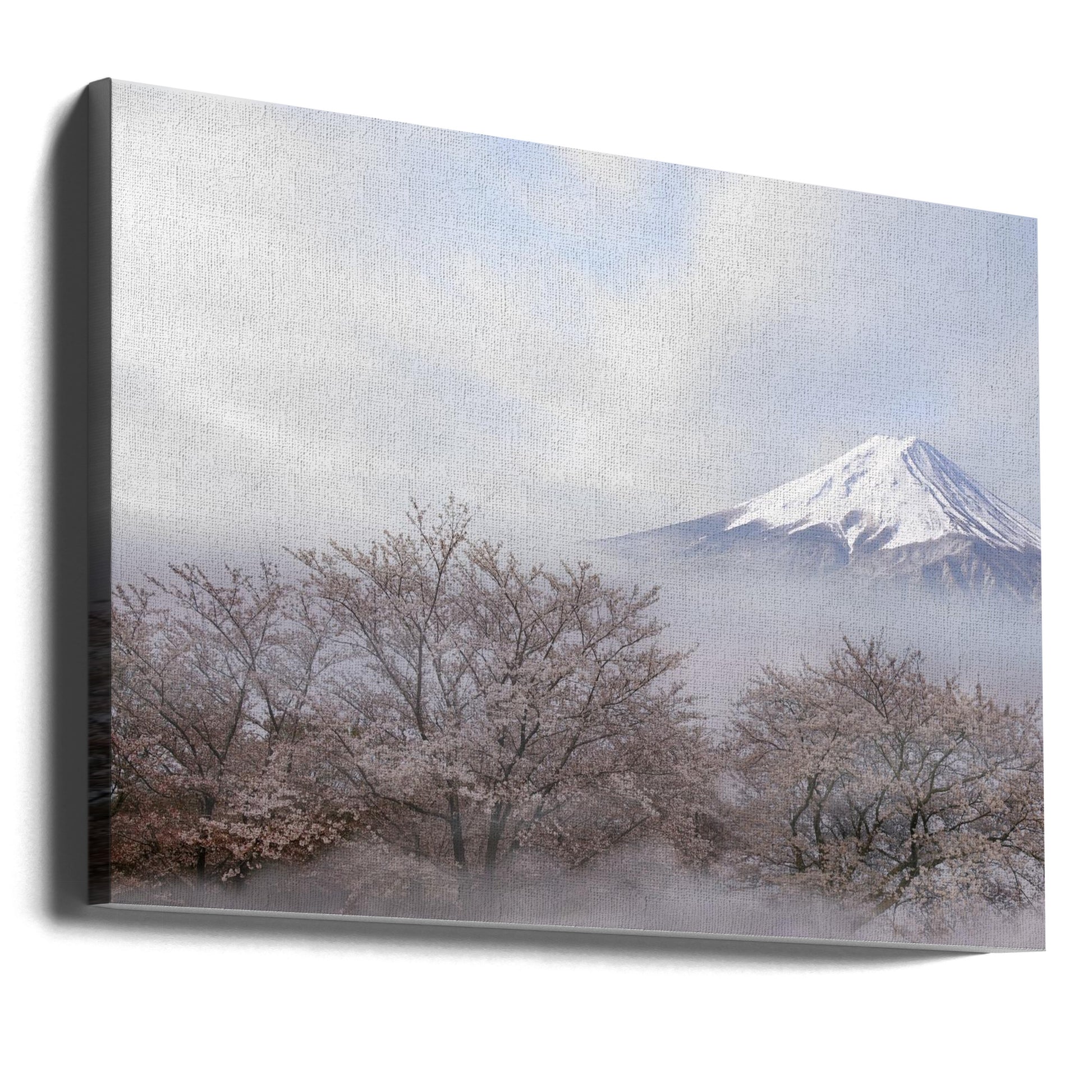 Mt.Fuji in Spring by Ikuo Iga | Cherry Blossom Mountain, Large Canvas Wall Art Print | Artsy Earth