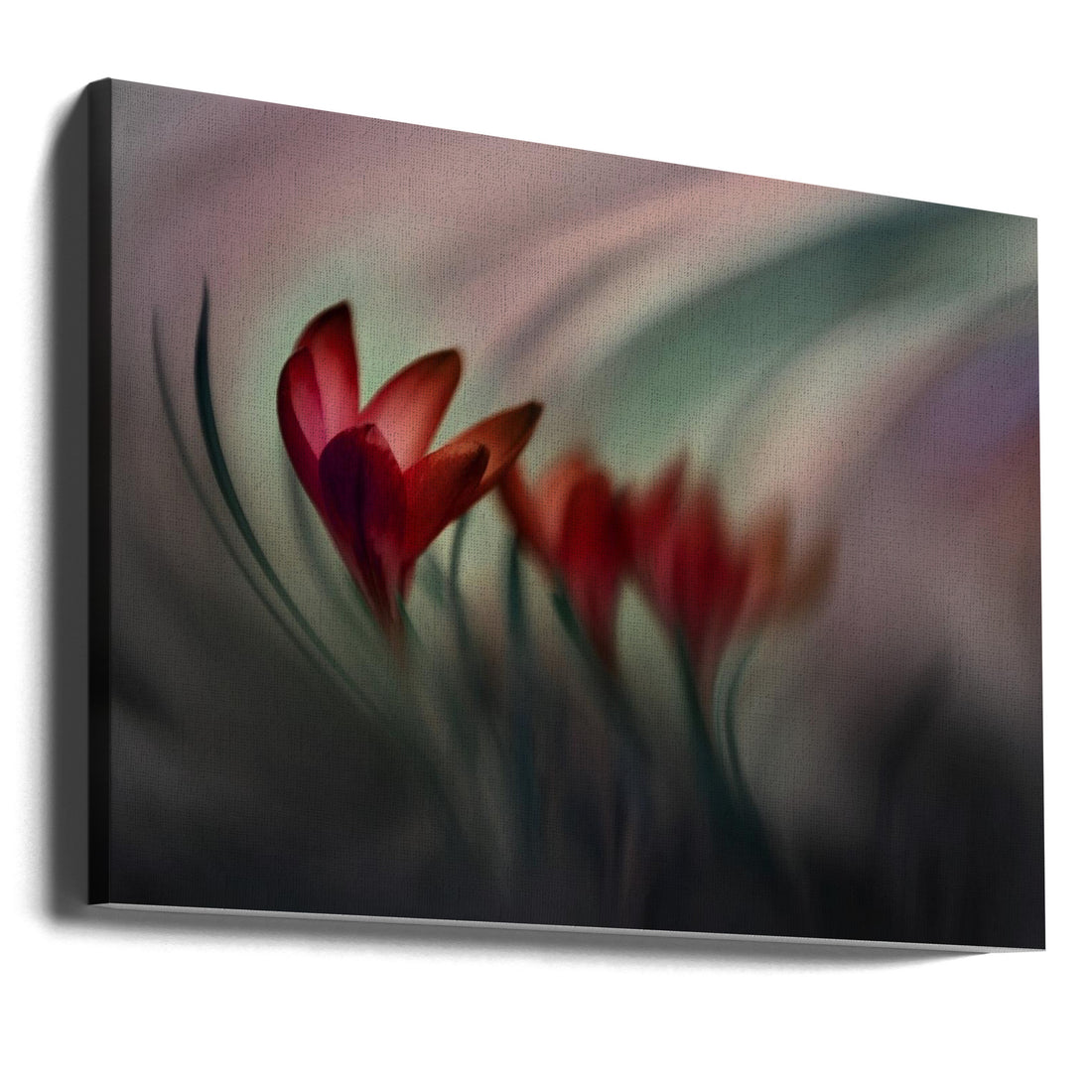 Red Crocus Macro by Doris Reindl | Romantic Floral Closeup, Large Canvas Wall Art Print | Artsy Earth