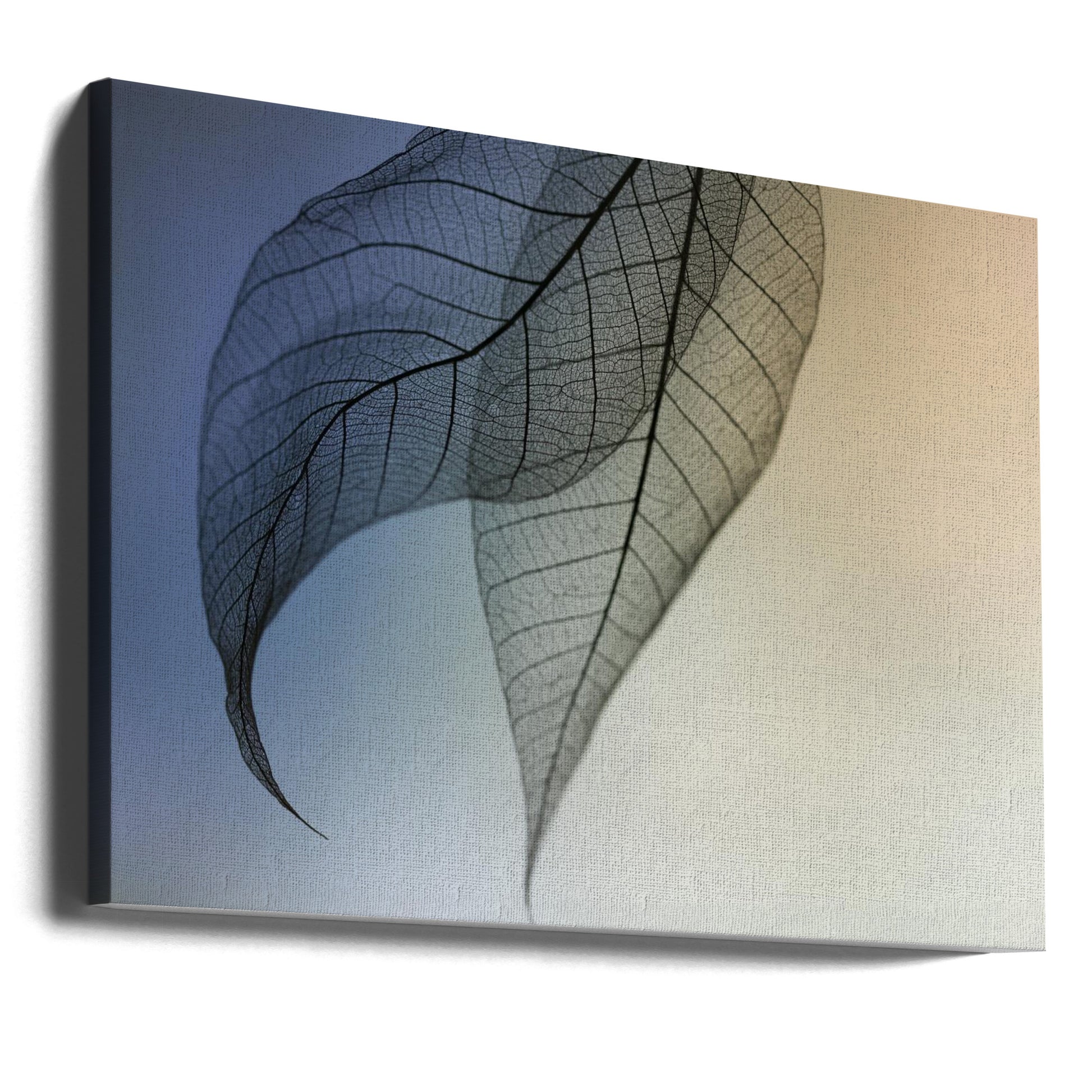 Cavatina by Shihya Kowatari | Delicate Leaf Transparency, Large Canvas Wall Art Print | Artsy Earth