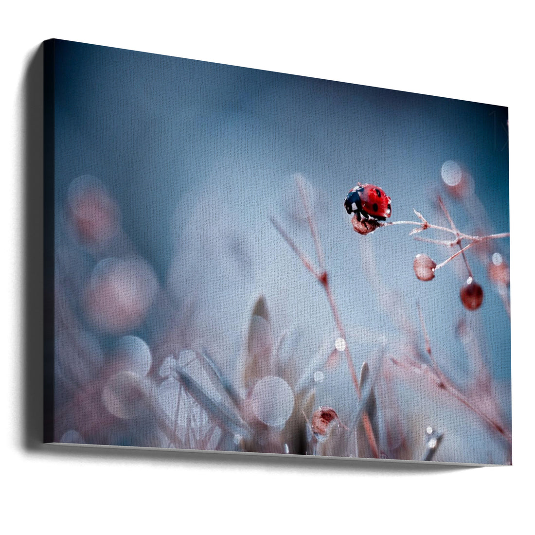 High Diving by Fabien Bravin | Water Droplet Macro, Large Canvas Wall Art Print | Artsy Earth