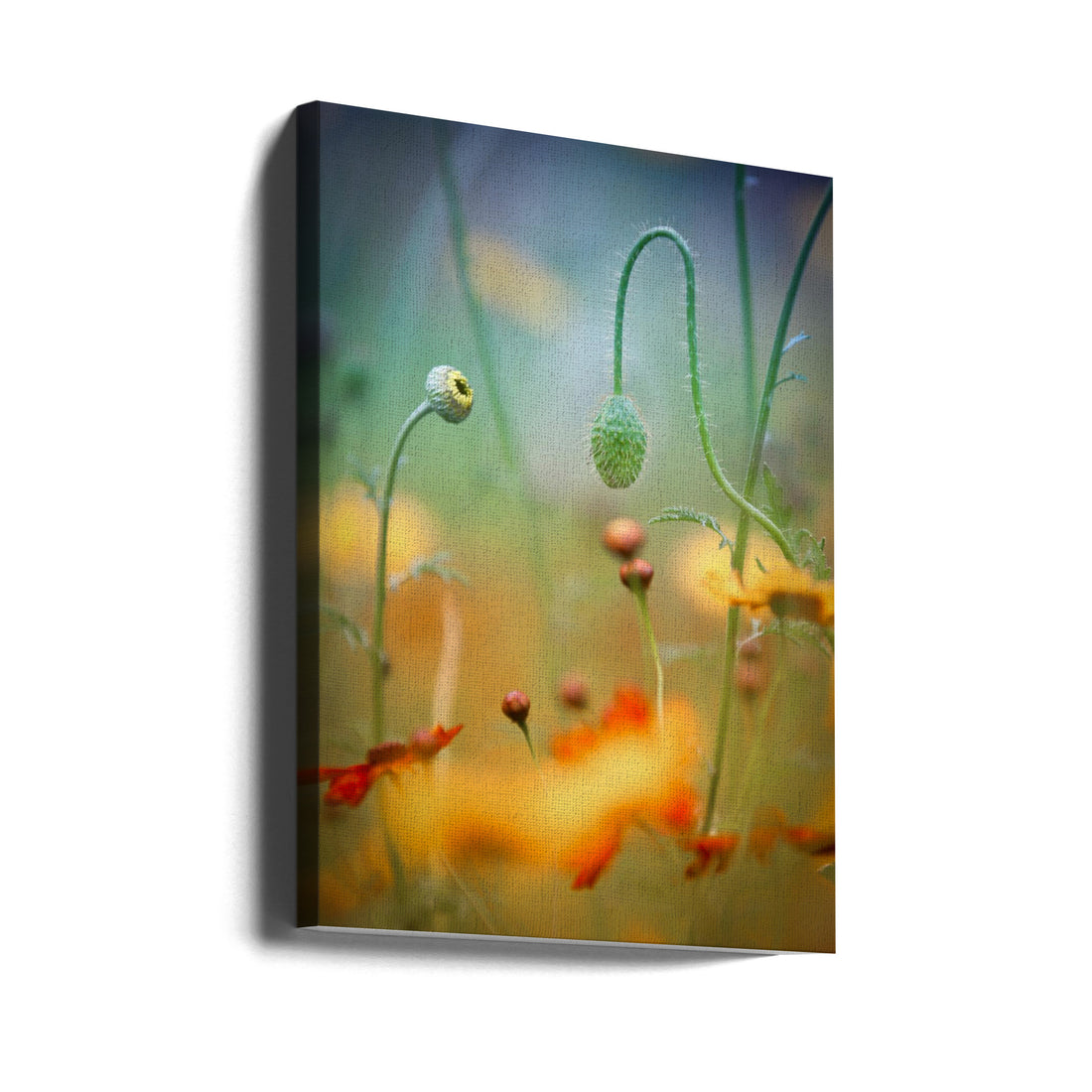 Poppy Field by Steve Moore | Wild Floral Landscape, Large Canvas Wall Art Print | Artsy Earth