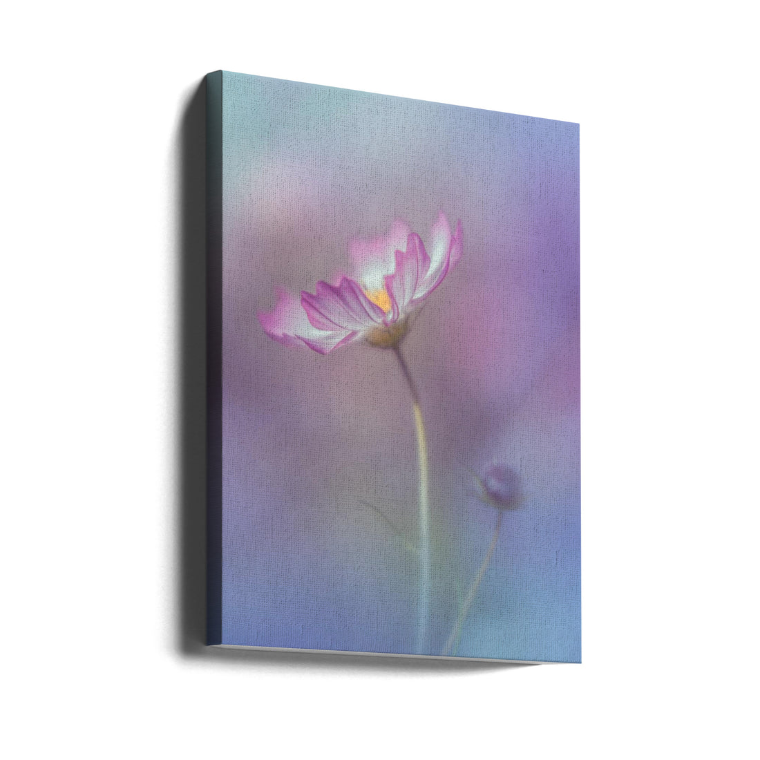 Pink Elegance by Miyako Koumura | Delicate Floral Macro, Large Canvas Wall Art Print | Artsy Earth