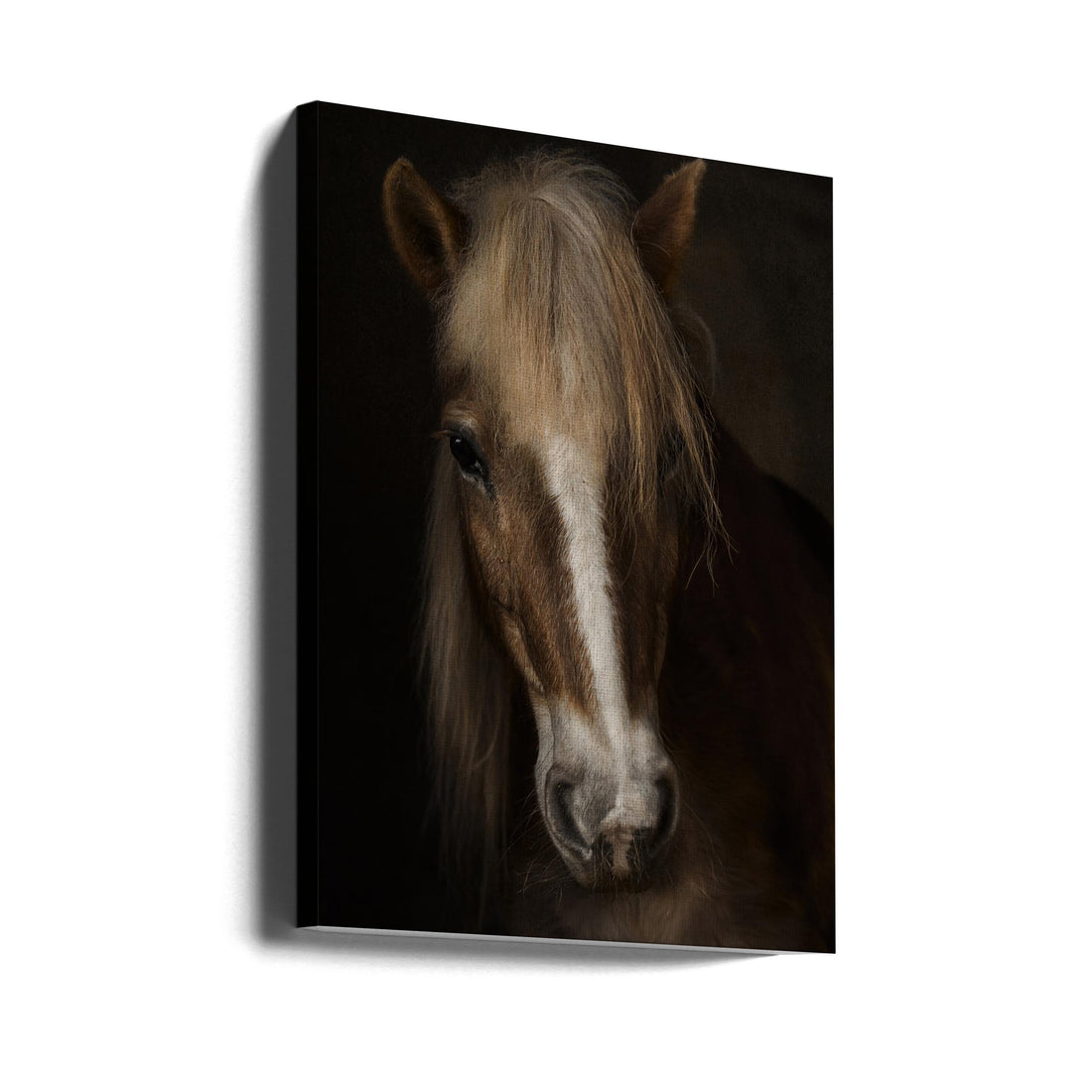 Haflinger Horse Portrait by Martine Benezech | French Farm Horse, Large Canvas Wall Art Print | Artsy Earth