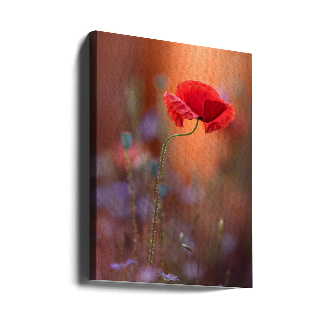 At the end of the day by Steve Moore | Romantic Garden Flowers, Large Canvas Wall Art Print | Artsy Earth