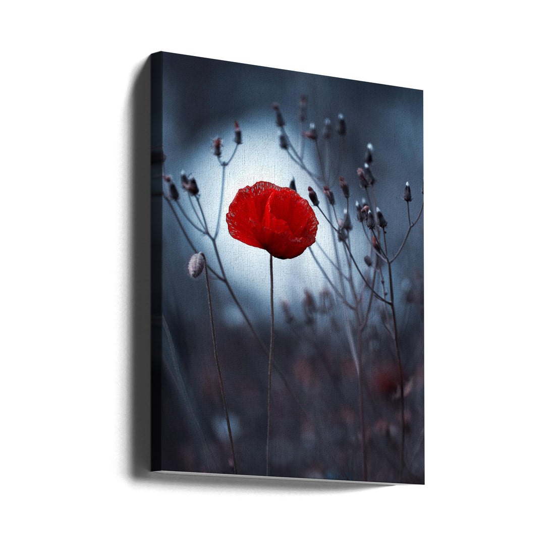 Red Poppy Pair by Fabien Bravin | Romantic Garden Flowers, Large Canvas Wall Art Print | Artsy Earth