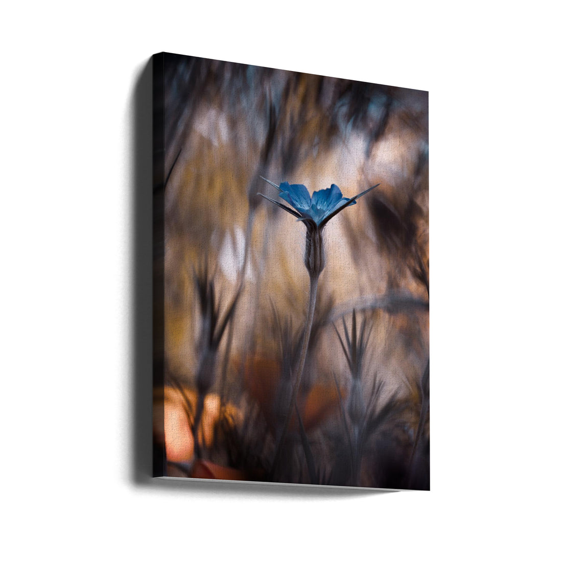 The Blue Crown by Fabien Bravin | Blue Floral Macro, Large Canvas Wall Art Print | Artsy Earth