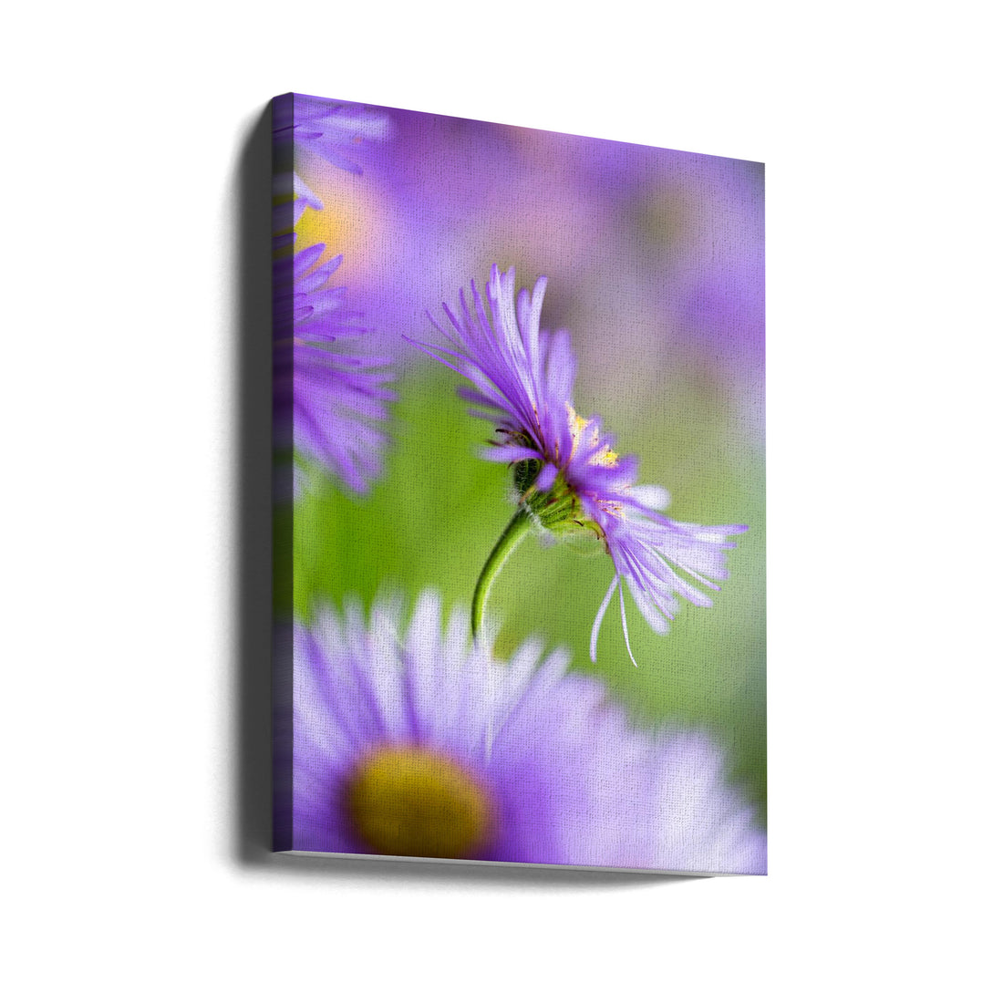 Summer Splash by Dusan Ljubicic | Purple Floral Macro, Large Canvas Wall Art Print | Artsy Earth