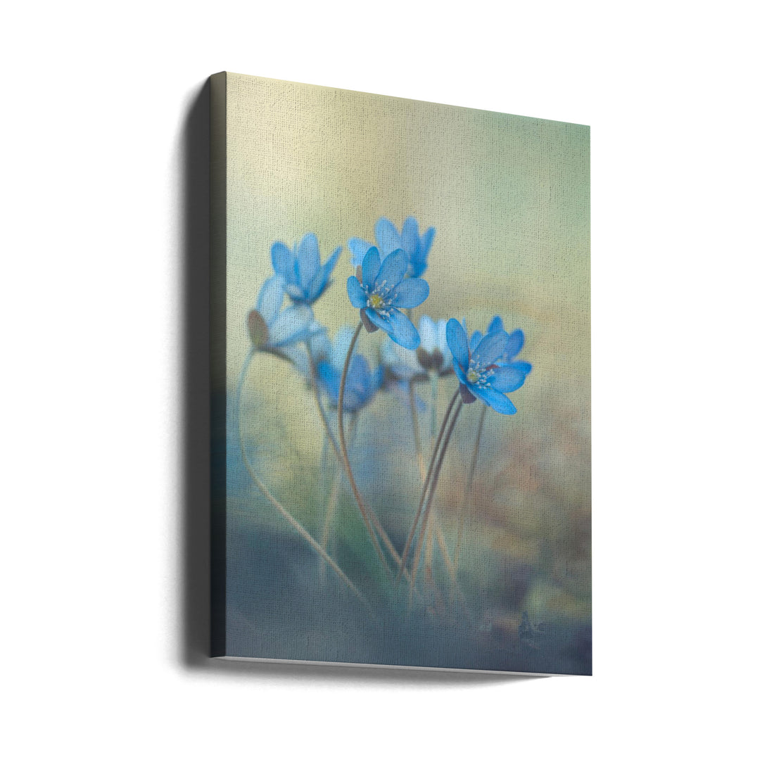 Memories of Spring by Davis Zandersons | Forest Garden Flowers, Large Canvas Wall Art Print | Artsy Earth