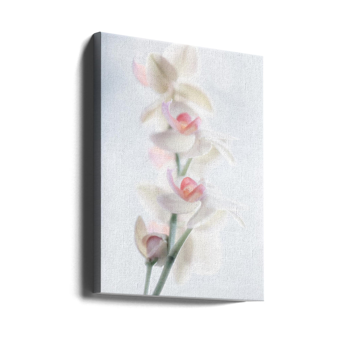 pale beauty by Peter Pfeiffer | Delicate Floral Stillness, Large Canvas Wall Art Print | Artsy Earth