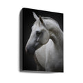 Graceful Mare by Avishai Avivi | Minimalist Horse Art, Large Canvas Wall Art Print | Artsy Earth