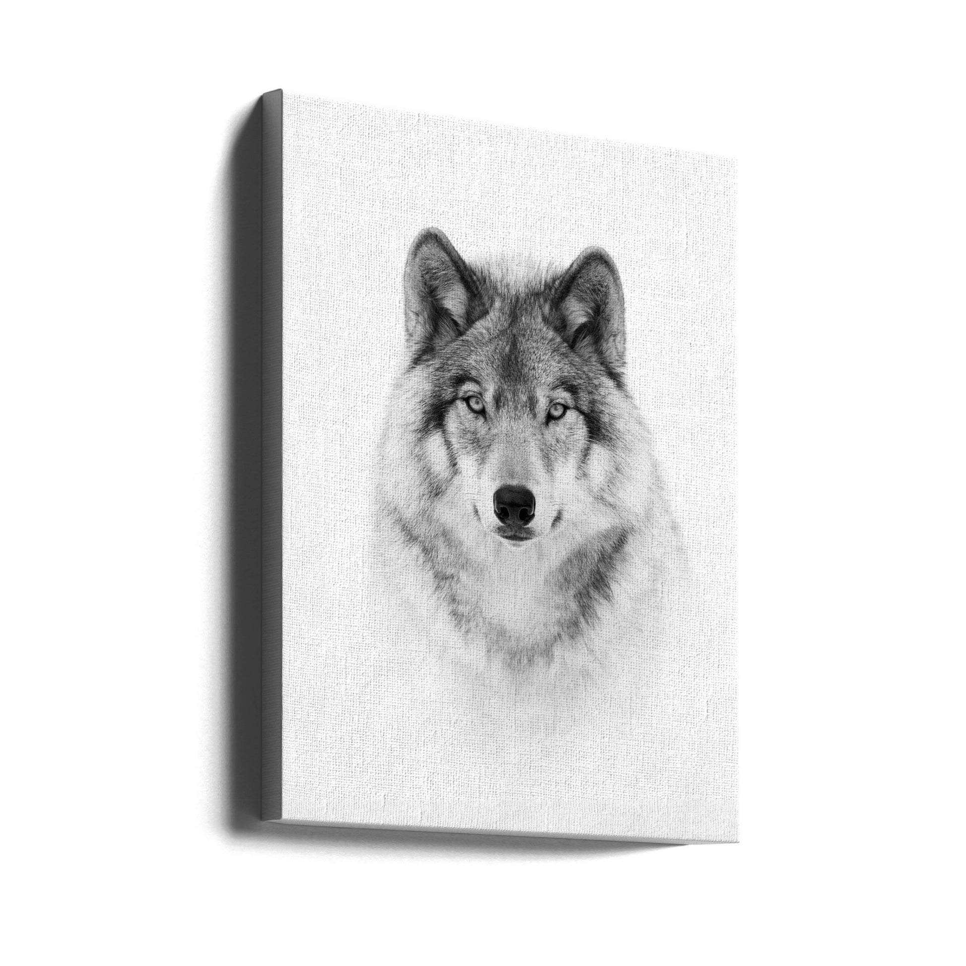 Portrait of a Timber Wolf by Jim Cumming | Peaceful Wildlife Portrait, Large Canvas Wall Art Print | Artsy Earth