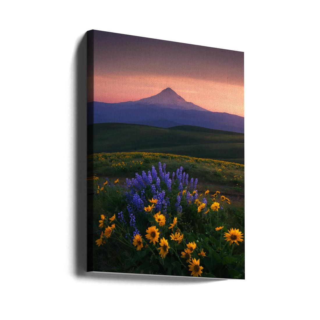 Mountain Wildflowers by Abdulkhalek Bakir | Floral Mountain Landscape, Large Canvas Wall Art Print | Artsy Earth