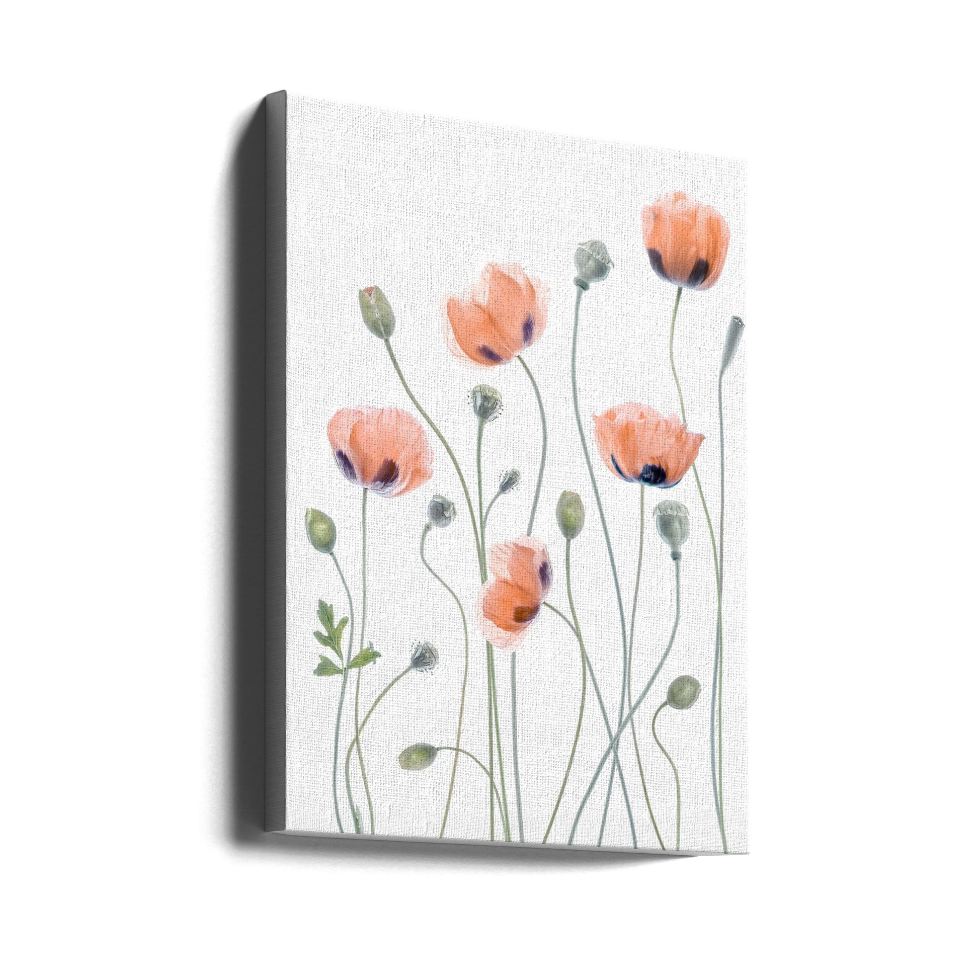 Poppies by Mandy Disher | Botanical Garden Flowers, Large Canvas Wall Art Print | Artsy Earth