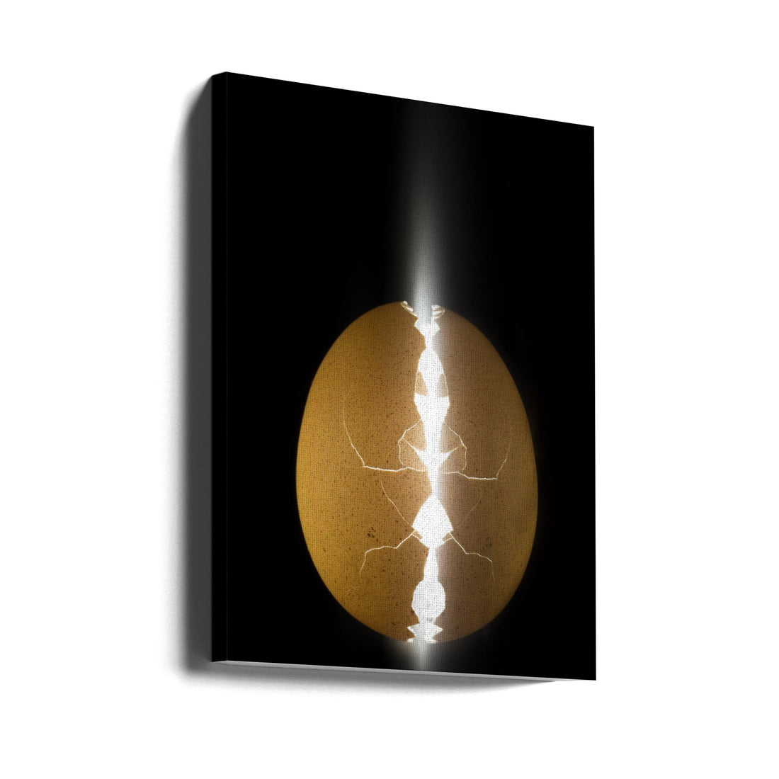 Alien Egg by Wieteke De Kogel | Illuminated Cracked Shell, Large Canvas Wall Art Print | Artsy Earth