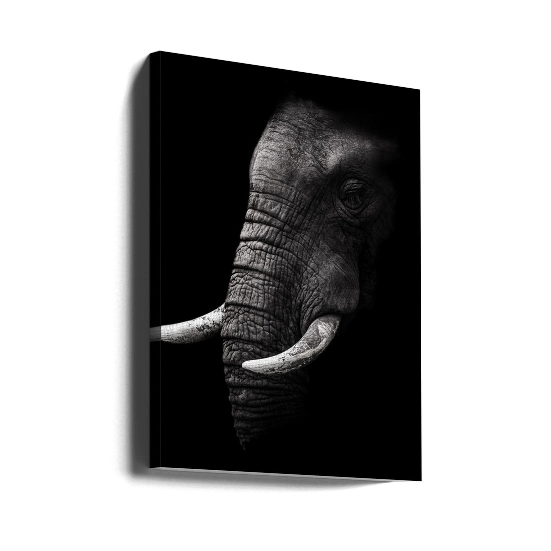 Elephant Portrait by Wildphotoart | Dark Elephant Eye, Large Canvas Wall Art Print | Artsy Earth