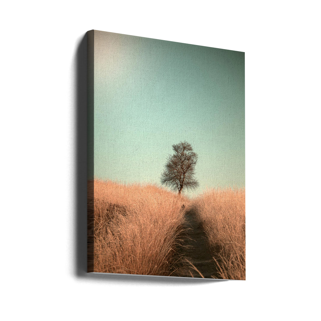 Grass and Path by Jaap Van Den Helm | Lonely Landscape Path, Large Canvas Wall Art Print | Artsy Earth