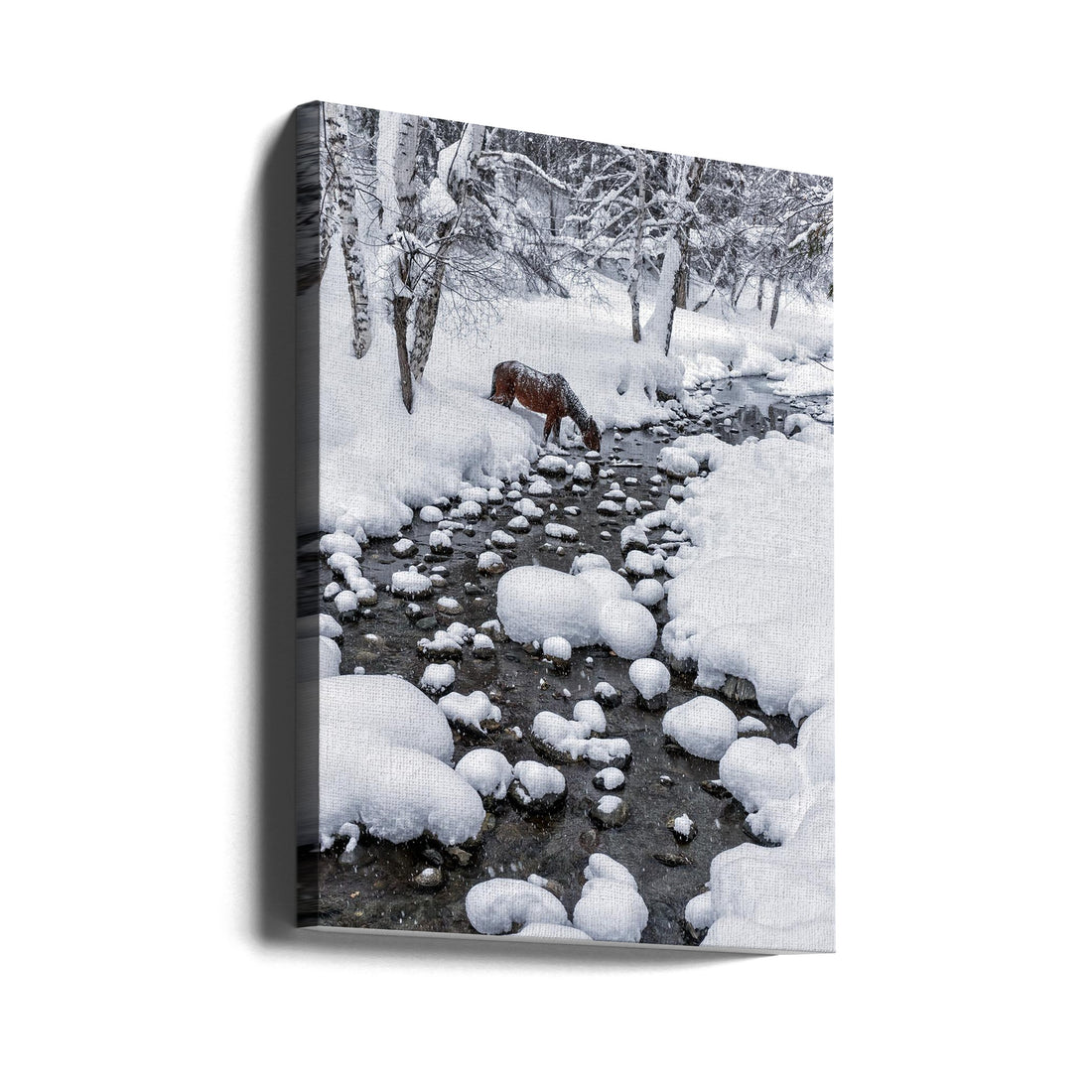 Drinking in Snow by Hua Zhu | Winter Forest Stream, Large Canvas Wall Art Print | Artsy Earth