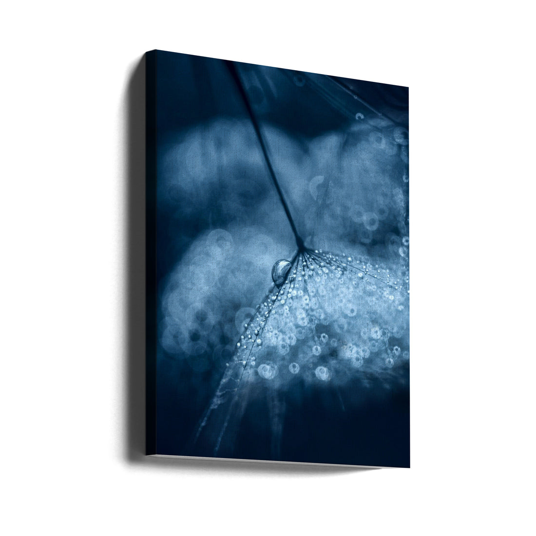 Blue Water Droplets by Ivelina Blagoeva | Macro Bokeh Backlight, Large Canvas Wall Art Print | Artsy Earth