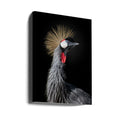 Crowned Crane Queen by Fegari | African Crowned Crane, Large Canvas Wall Art Print | Artsy Earth